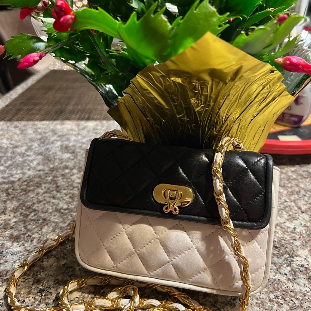 Jay Herbert New York mini crossbody bag.